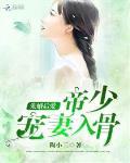 帝少诱妻成瘾