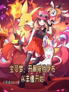 宝可梦开局搭档伊布从丰缘开始