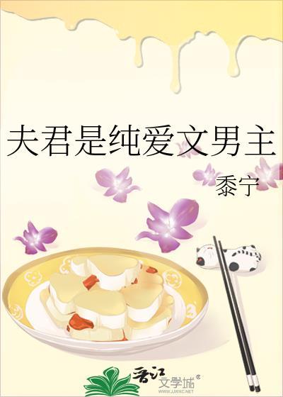 夫君是纯爱文男主讲的什么