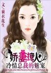 冷少的呆萌警妻