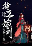 特工嫁到彪悍小王妃 免费视频