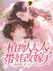 宋小姐放手再不回头内容介绍