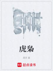 虎枭起点