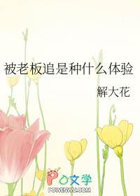 被老板追是种什么体验免费阅读