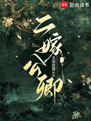 二嫁君王
