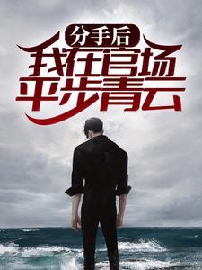 我在官场平步青云