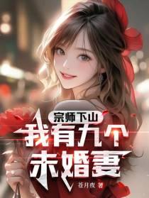 宗师下山我有九个未婚妻叶辰女主