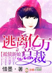抵债的女人阅读