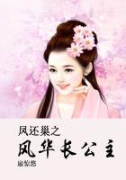 凤还巢之风华长公主陈世美