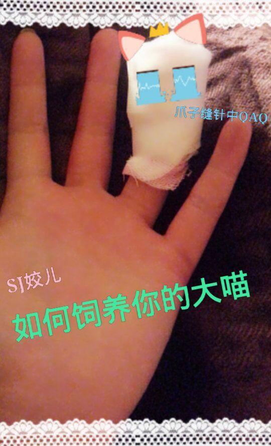 论如何饲养你的大喵第37章_武侠仙侠_新瓦特