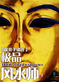 极品风水师龙生极品相师龙生