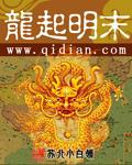 龙起明末视频