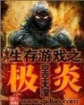 生存游戏之极炎世界观