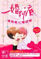 一婚到底律师老公难说服全文免费阅
