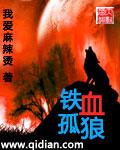 铁血战狼片头曲