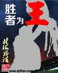 胜者为王2天下无敌 电视剧