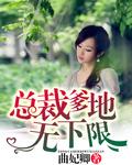 总裁爹地无下限番外免费阅读