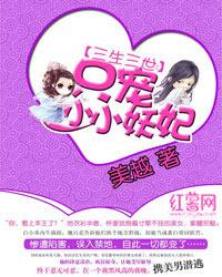 三生三世只宠小小妖妃原版