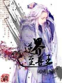 逆天至尊时空神王