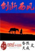 西风论剑