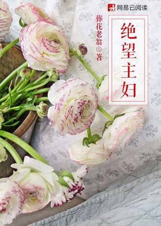 绝望主妇第一季剧情介绍