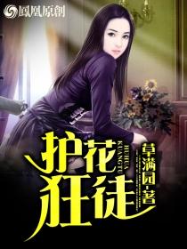 护花狂人在都市