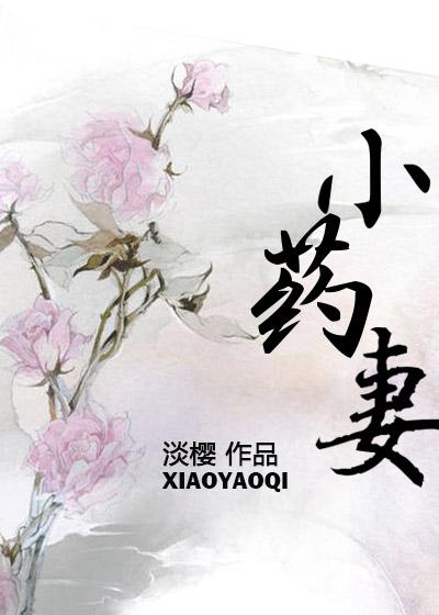 小药妻txt百度