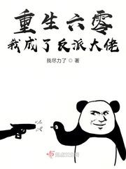 重生六零我成了反派大佬txt百度