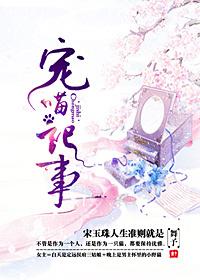 宠物喵喵游戏