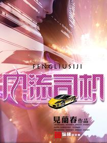 风流司机和女乡长