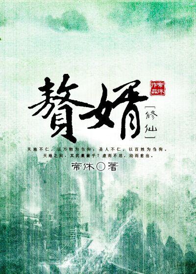 赘婿修仙传短剧合集