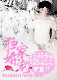 独家婚宠总裁