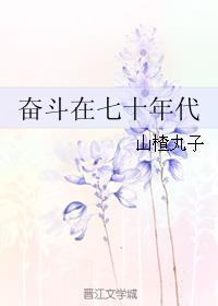奋斗在七十年代笔趣阁