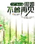 假如不曾相遇