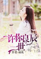 许你良辰一世全文免费阅读无广告