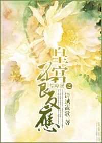 综琼瑶皇阿哥