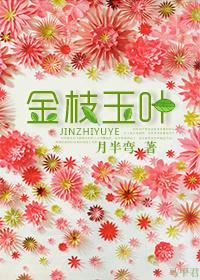 金枝玉叶什么时候扦插好
