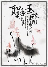 穿越之圣手医妃全文免费阅读