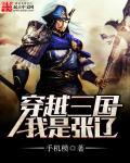 穿越三国我是张辽的大全