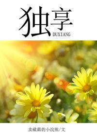 独享光纤