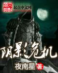 阴影将军剧情介绍