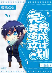 完美攻略 综