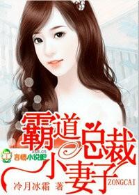 霸道总裁的小妻子菲儿