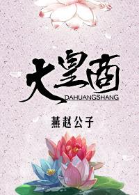大皇商by燕赵公子讲的什么故事