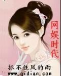 网娱是做什么
