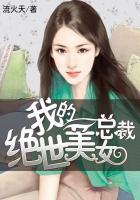 我的绝世美女总裁流火天