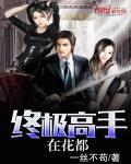 终极高手在线阅读免费