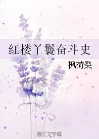 红楼丫鬟奋斗史大结局