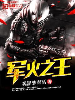 军火之王动漫介绍