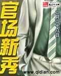 新出官场